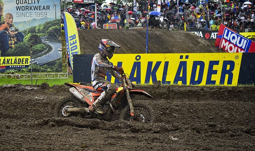 Andrea Adamo